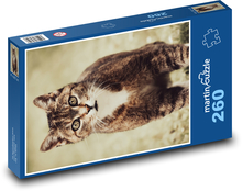 Kočka Puzzle 260 dílků - 41 x 28,7 cm