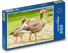 Divoké husy Puzzle 260 dílků - 41 x 28,7 cm