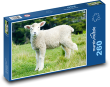 Jagnięcina - Owca Puzzle 260 elementów - 41x28,7 cm