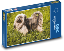 Dog - Bolognese Puzzle 260 pieces - 41 x 28.7 cm