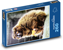 Lemur červenobrušný Puzzle 260 dielikov - 41 x 28,7 cm 