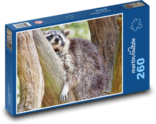 Szop na drzewie Puzzle 260 elementów - 41x28,7 cm