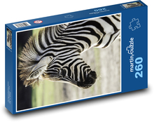 Zebra Puzzle 260 pieces - 41 x 28.7 cm 