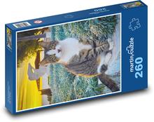 Cat top Puzzle 260 pieces - 41 x 28.7 cm 