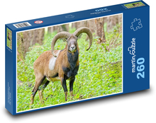 Muflon v lese Puzzle 260 dílků - 41 x 28,7 cm