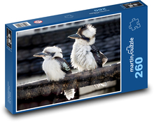 Kookaburra - ptaki Puzzle 260 elementów - 41x28,7 cm