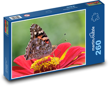 Schmetterling auf einer Blume Puzzle 260 Teile - 41 x28,7 cm
