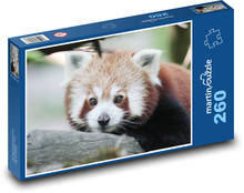 Panda czerwona Puzzle 260 elementów - 41x28,7 cm