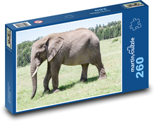 Elefant Puzzle 260 Teile - 41 x28,7 cm
