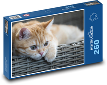 Cat in wicker basket Puzzle 260 pieces - 41 x 28.7 cm