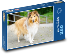 Sheltie - pes Puzzle 260 dielikov - 41 x 28,7 cm 