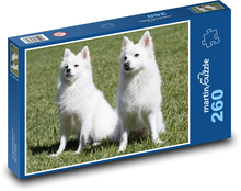 Špic - pes Puzzle 260 dielikov - 41 x 28,7 cm