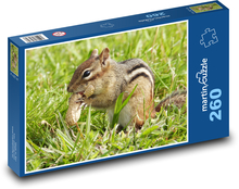 Veverička - arašidy Puzzle 260 dielikov - 41 x 28,7 cm 