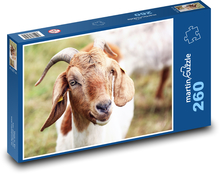 Koza Puzzle 260 dílků - 41 x 28,7 cm
