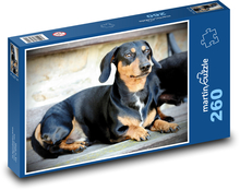 Pies - jamnik Puzzle 260 elementów - 41x28,7 cm