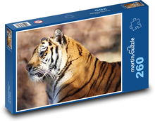 Tiger je veľká mačka Puzzle 260 dielikov - 41 x 28,7 cm