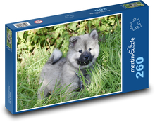 Eurasier - Hund Puzzle 260 Teile - 41 x28,7 cm