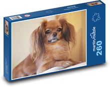 Pies - zwierzę domowe Puzzle 260 elementów - 41x28,7 cm
