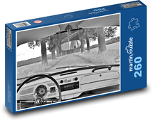 Auto - Chrobák, interiér Puzzle 260 dielikov - 41 x 28,7 cm
