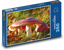 Houby, Muchomůrky Puzzle 260 dílků - 41 x 28,7 cm