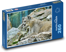 Ein Berglöwe. Puzzle 260 Teile - 41 x28,7 cm