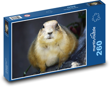 Präriehund Puzzle 260 Teile - 41 x28,7 cm