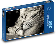 Sleeping cat Puzzle 260 pieces - 41 x 28.7 cm 