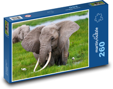 Elephants - tusks Puzzle 260 pieces - 41 x 28.7 cm 