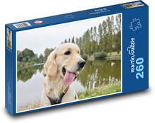 Golden Retriever - Hund Puzzle 260 Teile - 41 x28,7 cm
