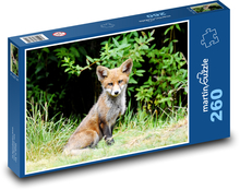 Liška - mládě Puzzle 260 dílků - 41 x 28,7 cm