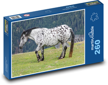 Kôň Puzzle 260 dielikov - 41 x 28,7 cm 