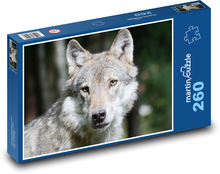 Der Wolf Puzzle 260 Teile - 41 x28,7 cm