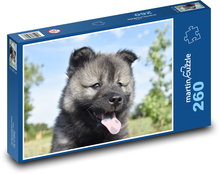 Eurasischer Welpe Puzzle 260 Teile - 41 x28,7 cm