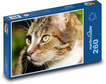 Kot Puzzle 260 elementów - 41x28,7 cm