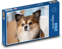 Chihuahua - Hund Puzzle 260 Teile - 41 x28,7 cm