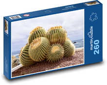Kaktus Puzzle 260 dielikov - 41 x 28,7 cm