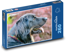 Hovawart - pes Puzzle 260 dielikov - 41 x 28,7 cm 