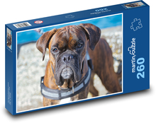 Boxer - dog Puzzle 260 pieces - 41 x 28.7 cm 
