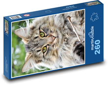 Mačka Puzzle 260 dielikov - 41 x 28,7 cm