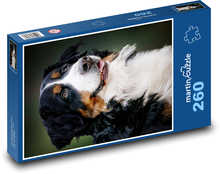 Bernský salašnícky pes Puzzle 260 dielikov - 41 x 28,7 cm 