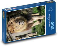 Aries Puzzle 260 pieces - 41 x 28.7 cm 