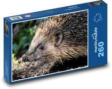 Jeż Puzzle 260 elementów - 41x28,7 cm
