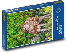 Jeleň Puzzle 260 dielikov - 41 x 28,7 cm