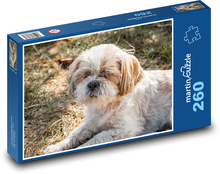 Pies - Shih tzu Puzzle 260 elementów - 41x28,7 cm