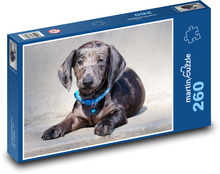 Dachshund - puppy Puzzle 260 pieces - 41 x 28.7 cm 