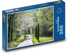 Park - cesta Puzzle 260 dielikov - 41 x 28,7 cm 