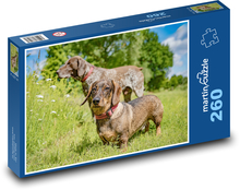 Dlhovlasý jazvečík Puzzle 260 dielikov - 41 x 28,7 cm 