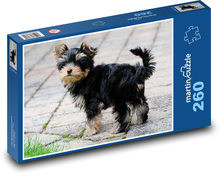 Yorkshire Terrier - Hund Puzzle 260 Teile - 41 x28,7 cm