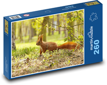 Eichhörnchen - Nagetier Puzzle 260 Teile - 41 x28,7 cm