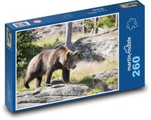 Medvěd hnědý Puzzle 260 dílků - 41 x 28,7 cm